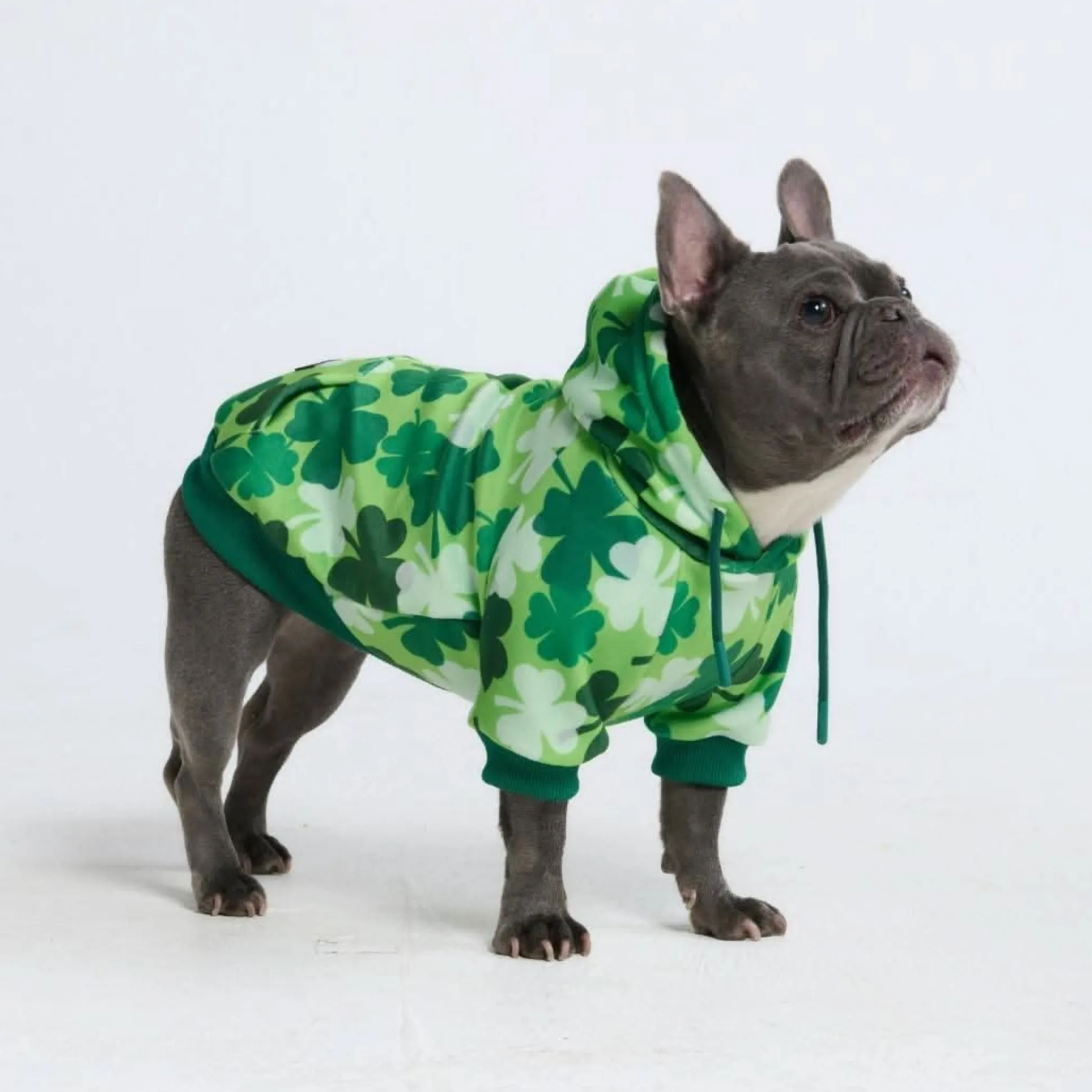 St. Paddy's Dog Hoodie - Shamrocks (Limited Edition)