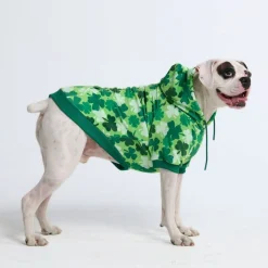 St. Paddy's Dog Hoodie - Shamrocks (Limited Edition)