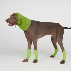 Stretchy Fleece Dog Leg Warmer Sleeves - Lime