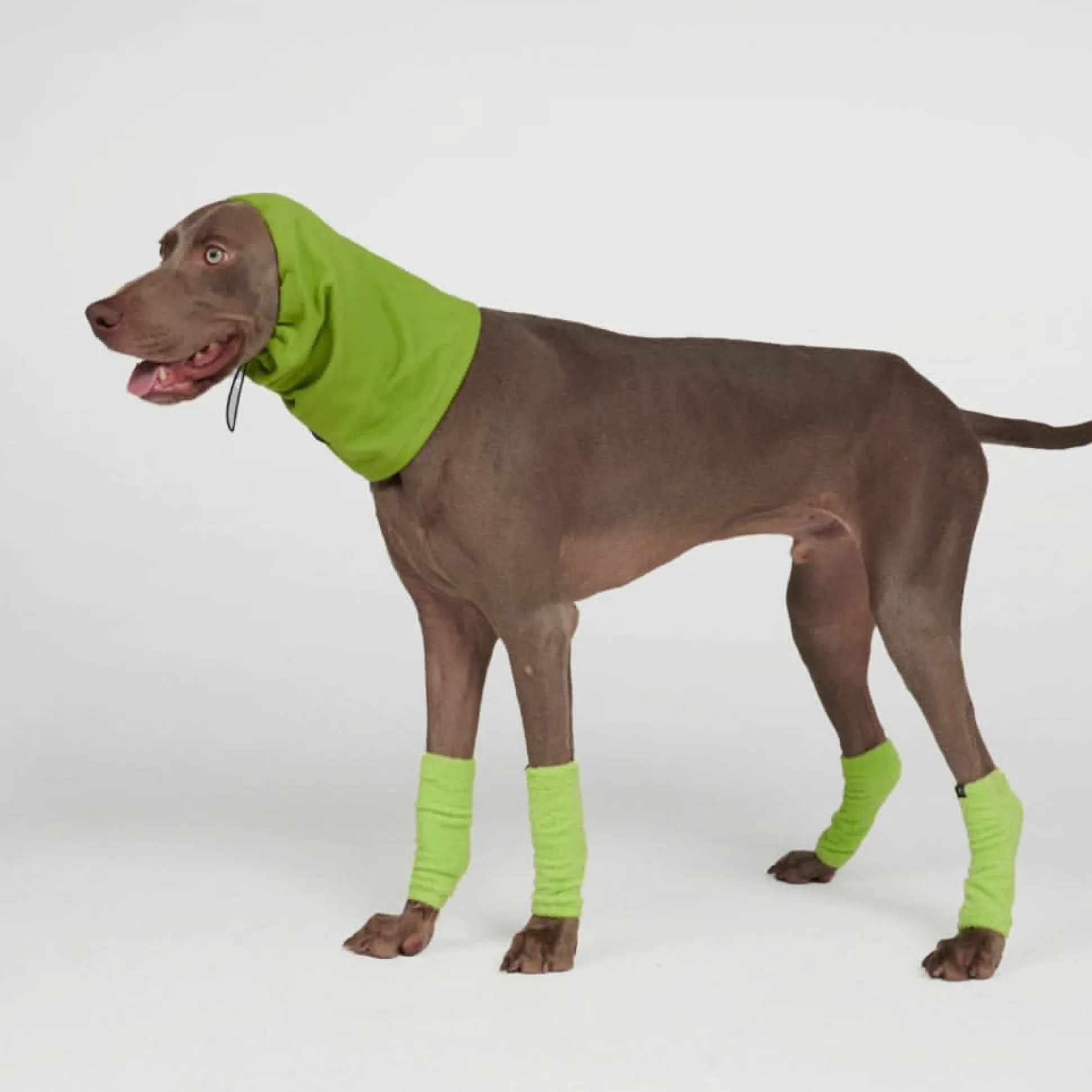 Stretchy Fleece Dog Leg Warmer Sleeves - Lime