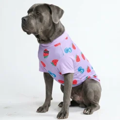 Sunblock Dog T-Shirt - Berries