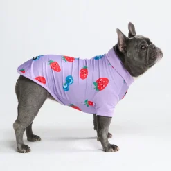 Sunblock Dog T-Shirt - Berries