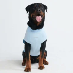 Sunblock Dog T-Shirt - Blue