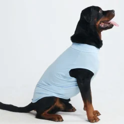 Sunblock Dog T-Shirt - Blue