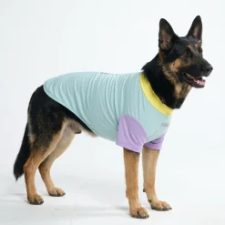 Sunblock Dog T-Shirt - Breeze