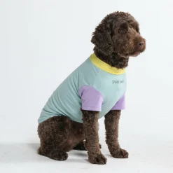 Sunblock Dog T-Shirt - Breeze