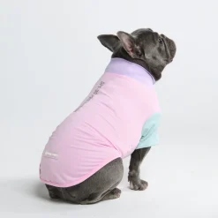 Sunblock Dog T-Shirt - Color Block
