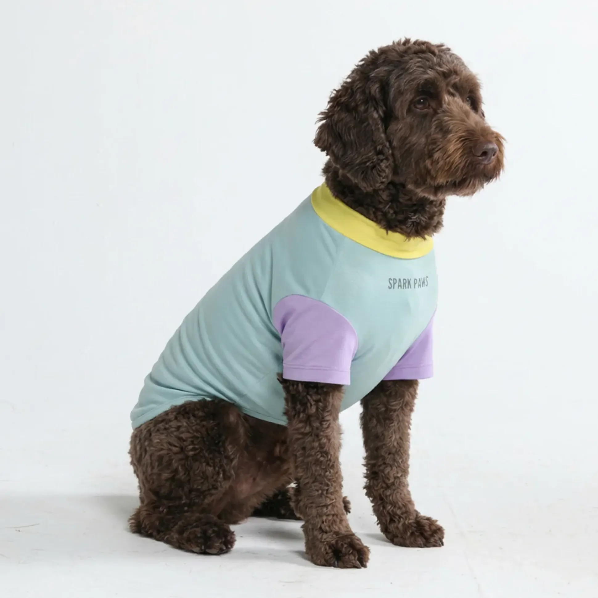 Sunblock Dog T-Shirt - Color Block