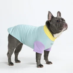 Sunblock Dog T-Shirt - Color Block
