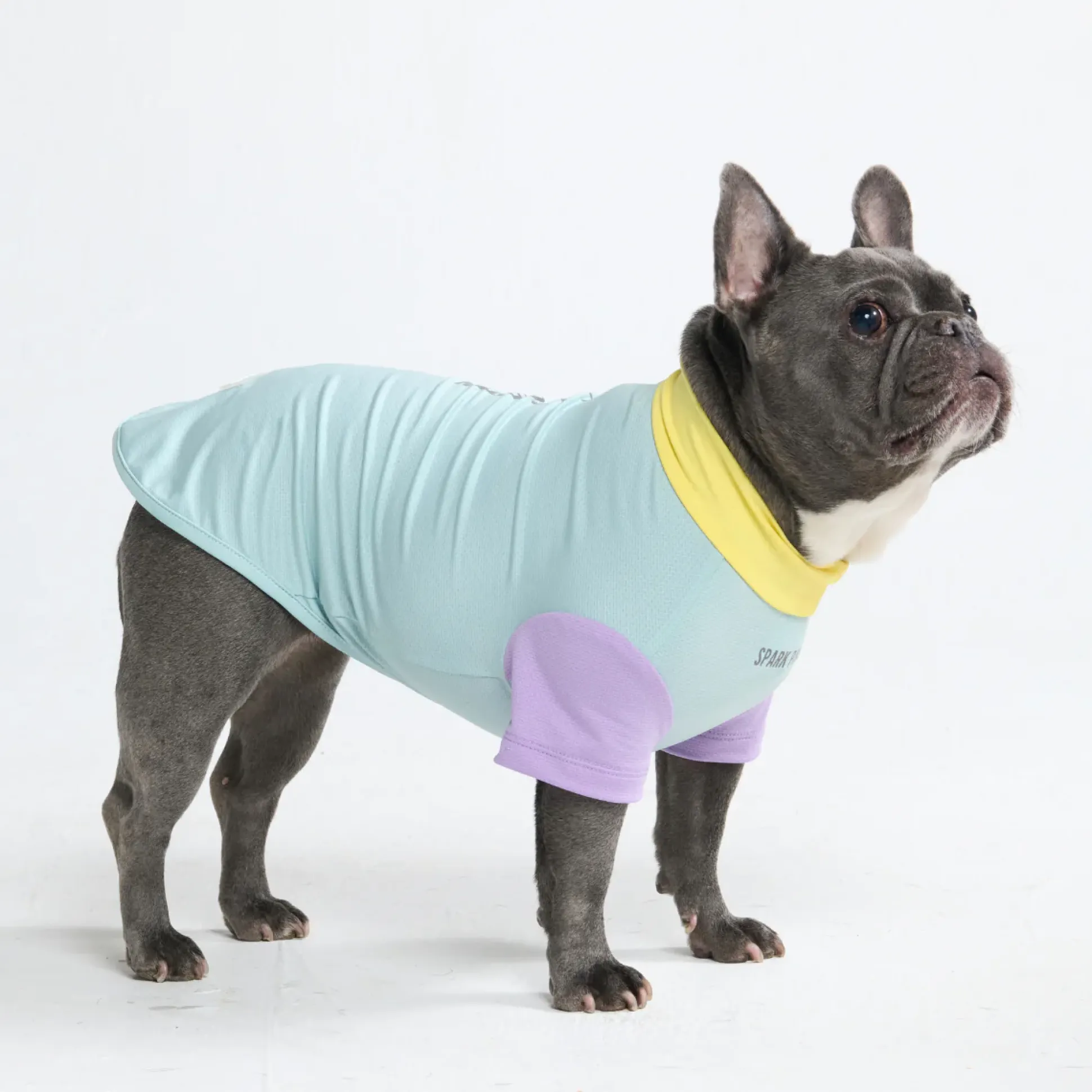 Sunblock Dog T-Shirt - Color Block