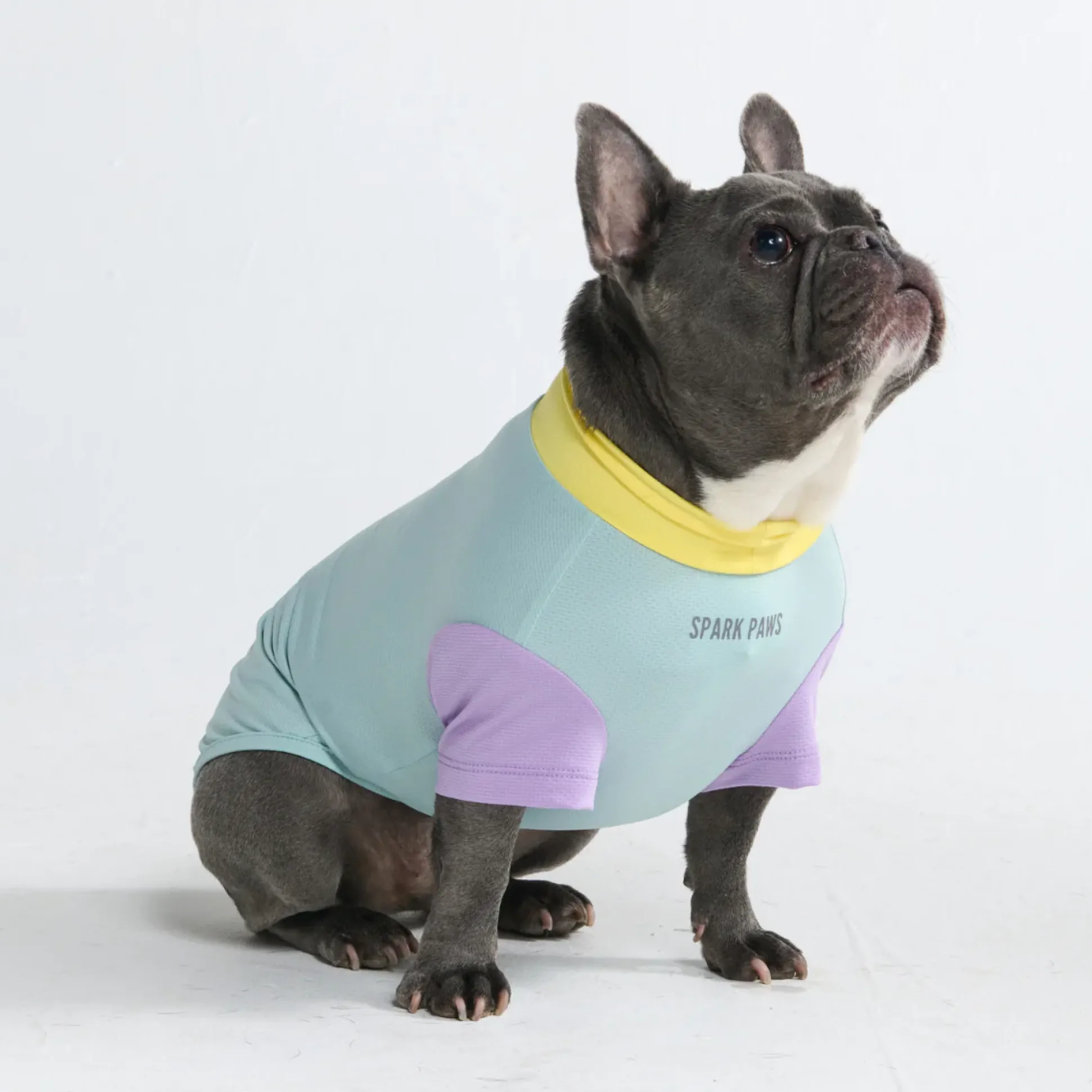 Sunblock Dog T-Shirt - Color Block
