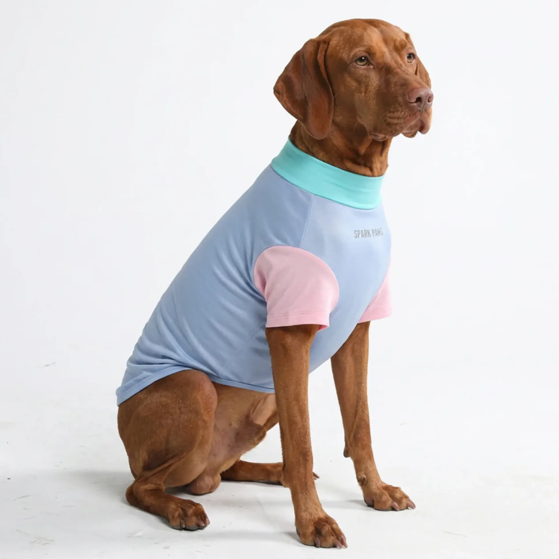 Sunblock Dog T-Shirt - Color Block
