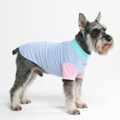 Sunblock Dog T-Shirt - Color Block