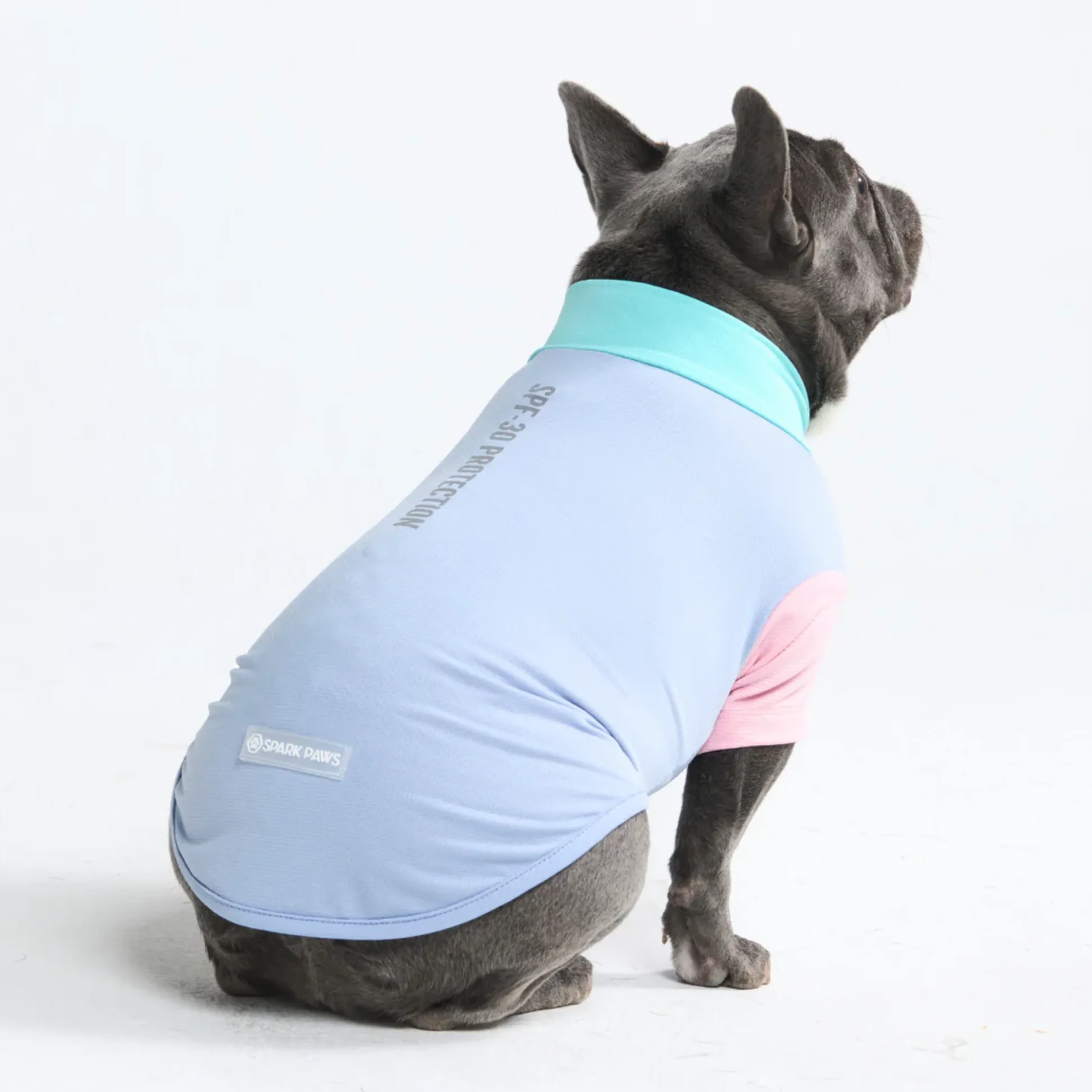 Sunblock Dog T-Shirt - Color Block