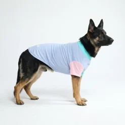 Sunblock Dog T-Shirt - Color Block