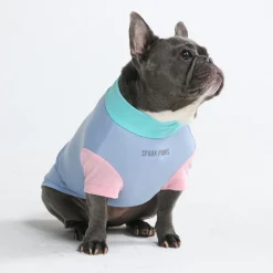 Sunblock Dog T-Shirt - Color Block