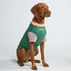 Sunblock Dog T-Shirt - Color Block