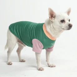 Sunblock Dog T-Shirt - Color Block