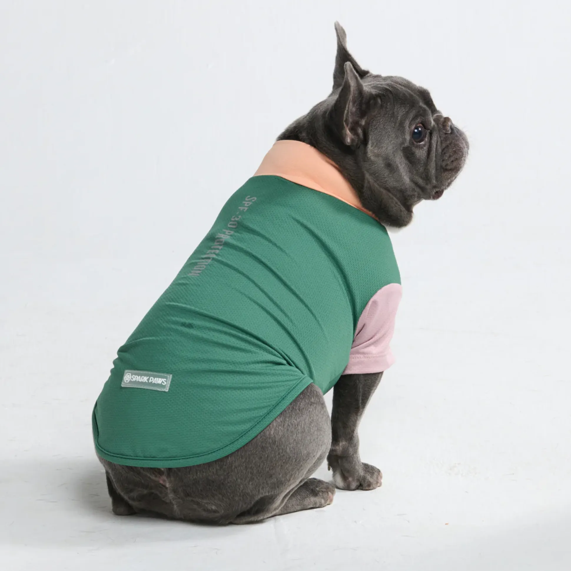 Sunblock Dog T-Shirt - Color Block