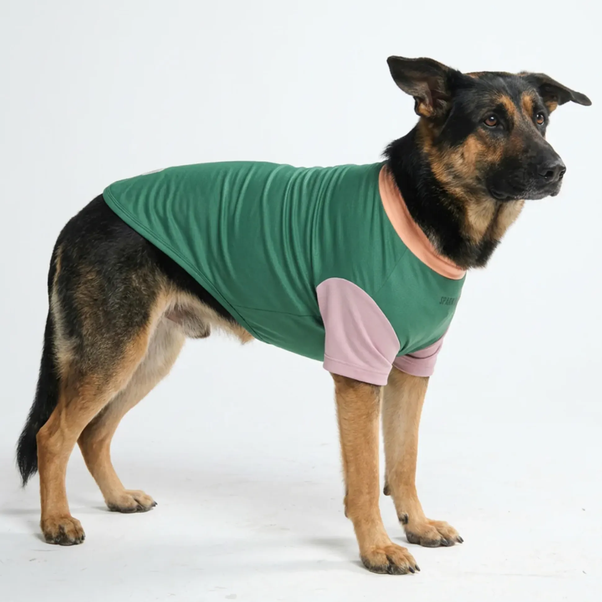 Sunblock Dog T-Shirt - Color Block