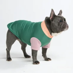 Sunblock Dog T-Shirt - Color Block