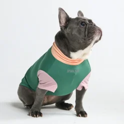 Sunblock Dog T-Shirt - Color Block