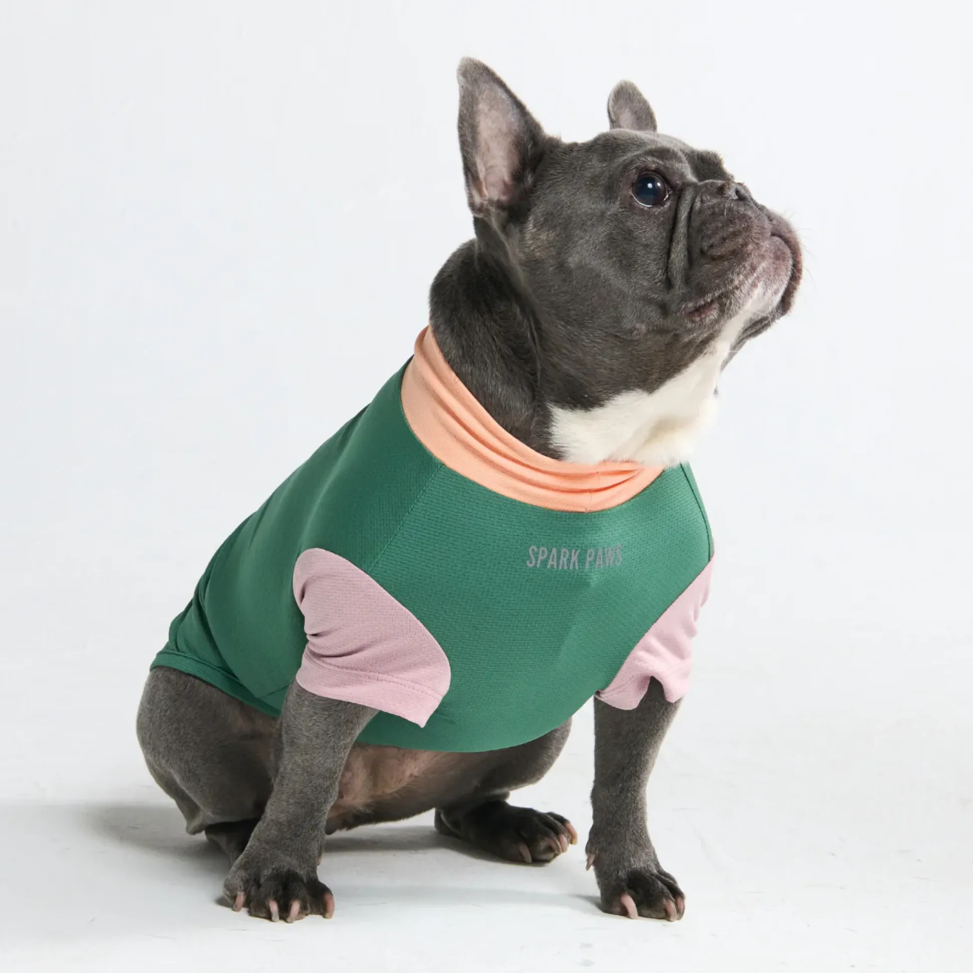 Sunblock Dog T-Shirt - Color Block