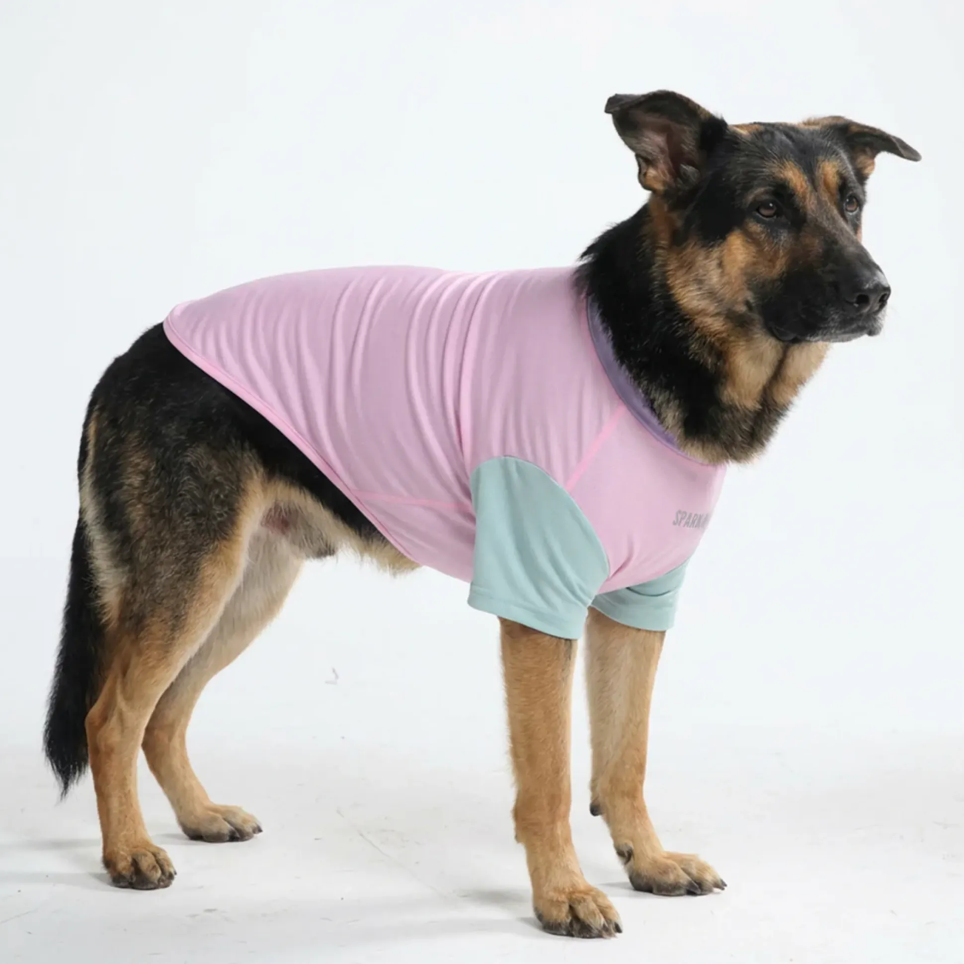 Sunblock Dog T-Shirt - Color Block