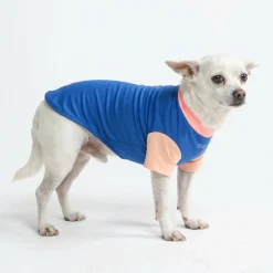Sunblock Dog T-Shirt - Color Block