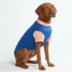 Sunblock Dog T-Shirt - Color Block