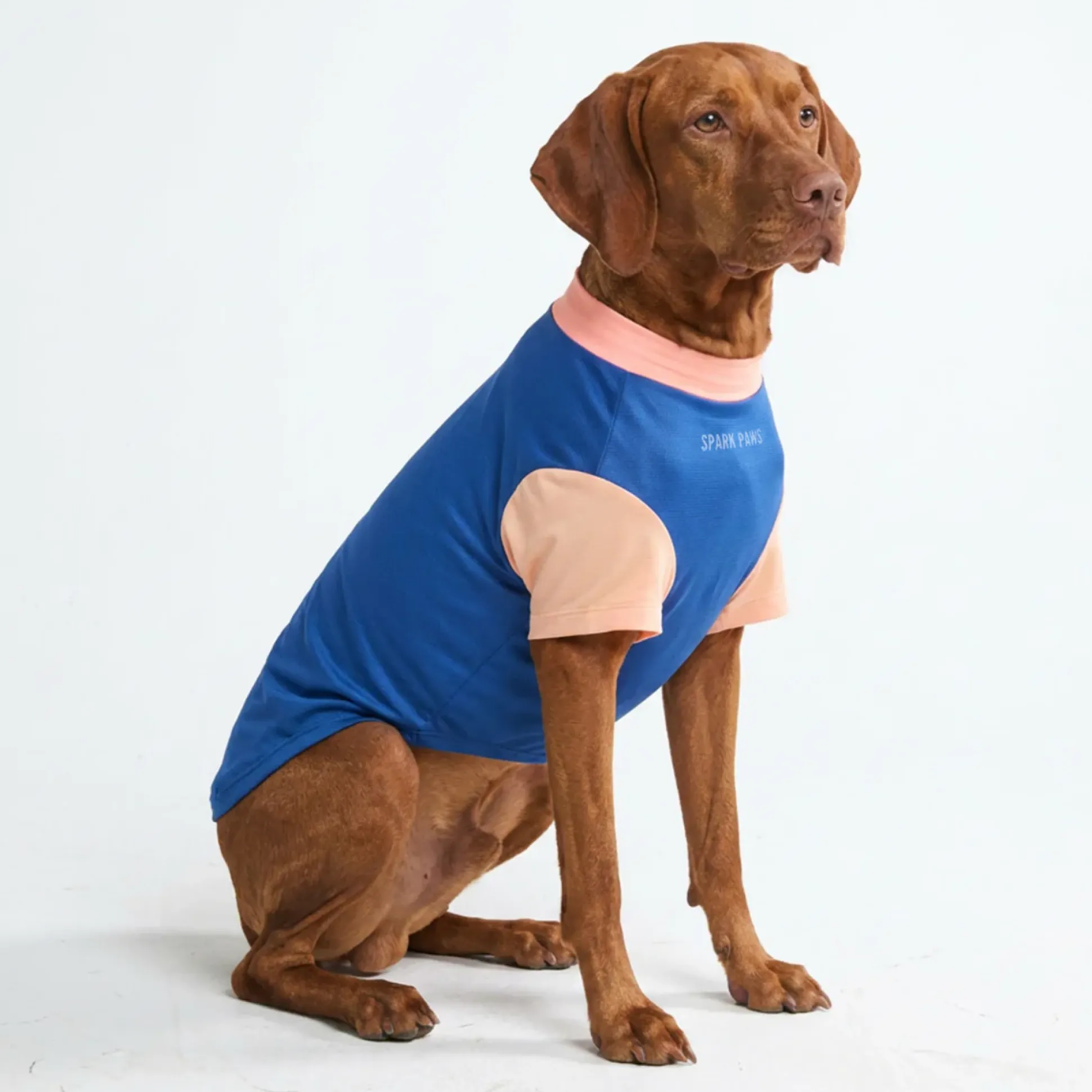 Sunblock Dog T-Shirt - Color Block