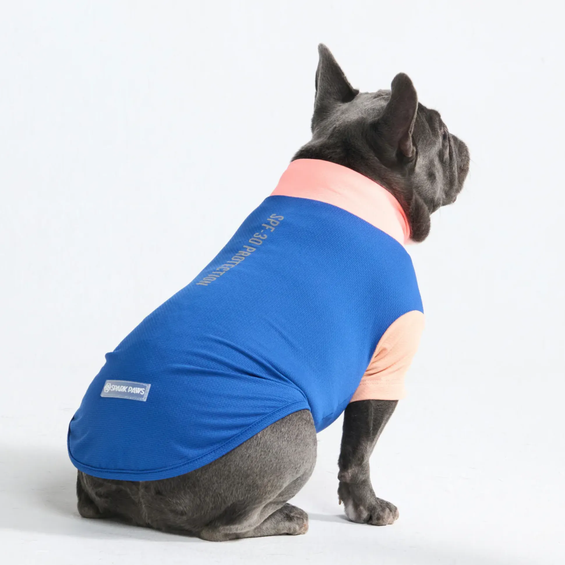 Sunblock Dog T-Shirt - Color Block