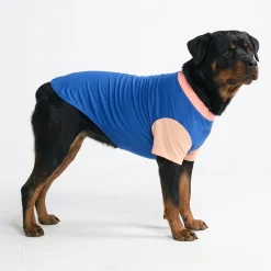Sunblock Dog T-Shirt - Color Block