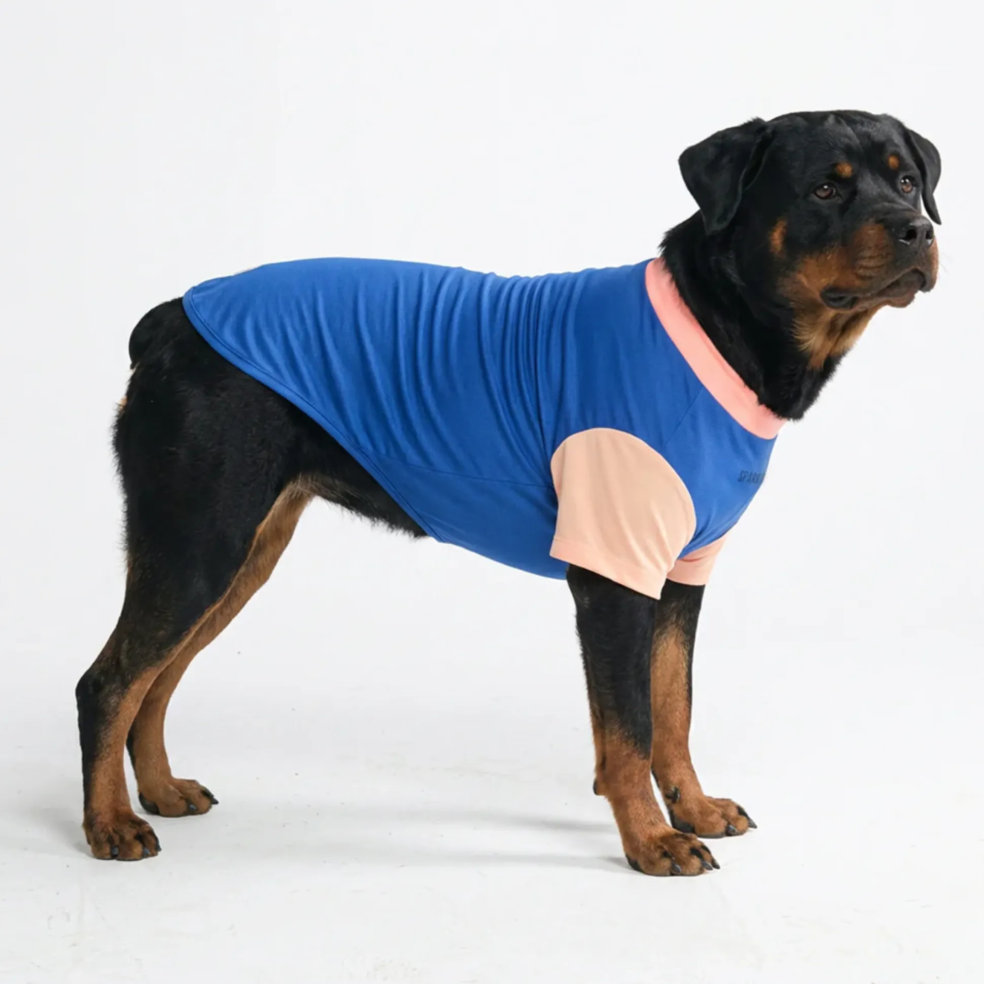 Sunblock Dog T-Shirt - Color Block