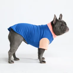 Sunblock Dog T-Shirt - Color Block