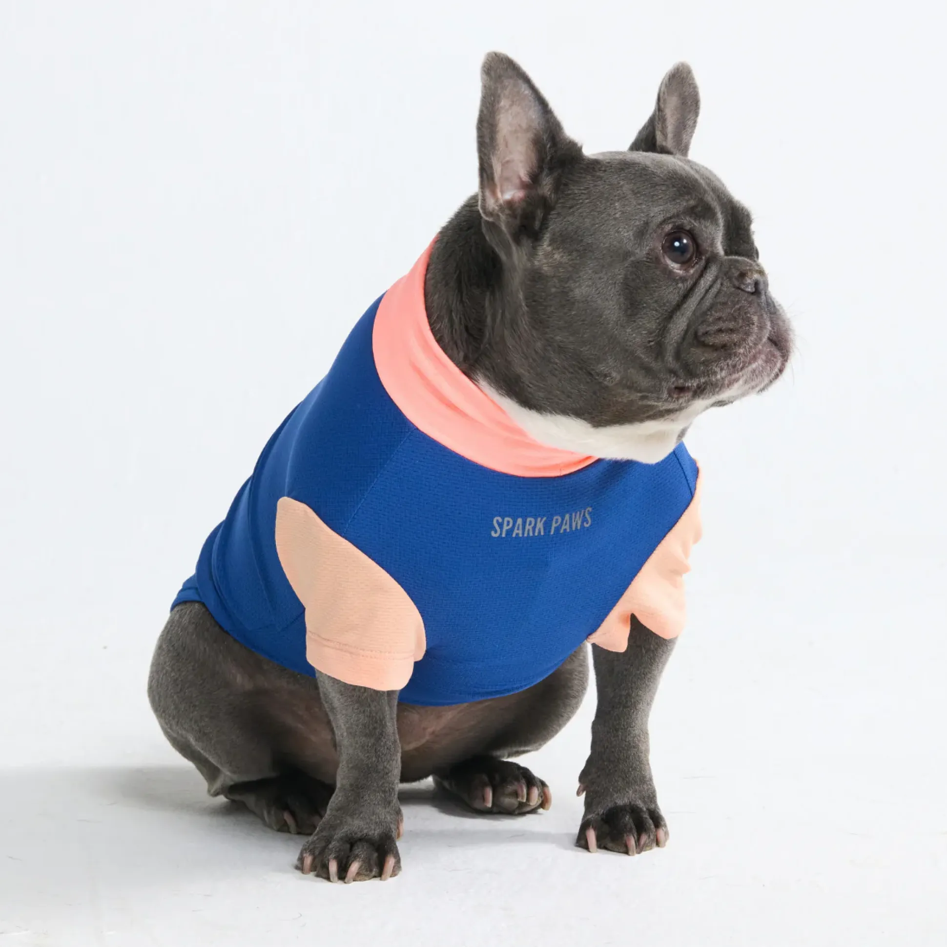 Sunblock Dog T-Shirt - Color Block