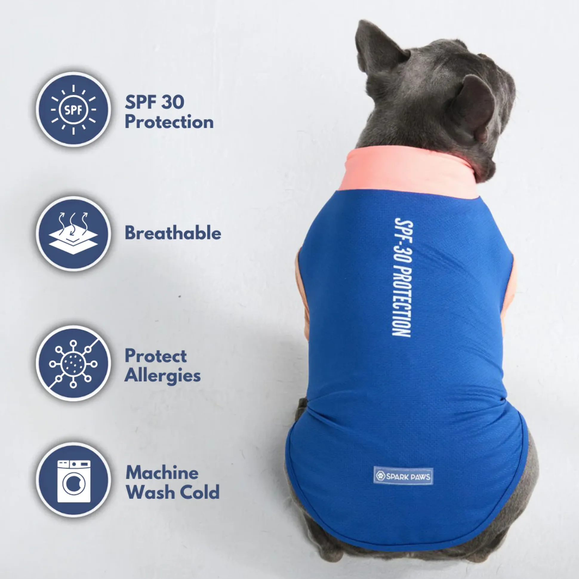 Sunblock Dog T-Shirt - Color Block