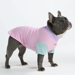 Sunblock Dog T-Shirt - Color Block