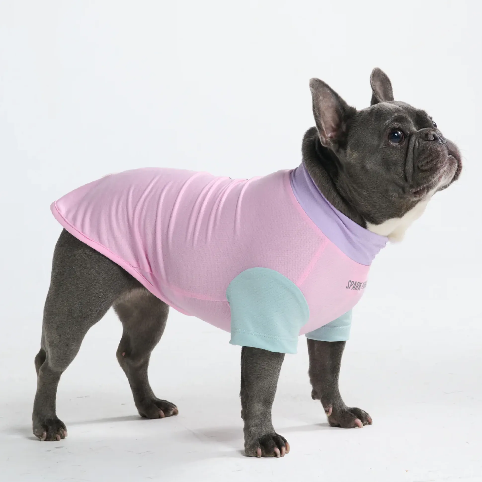 Sunblock Dog T-Shirt - Color Block