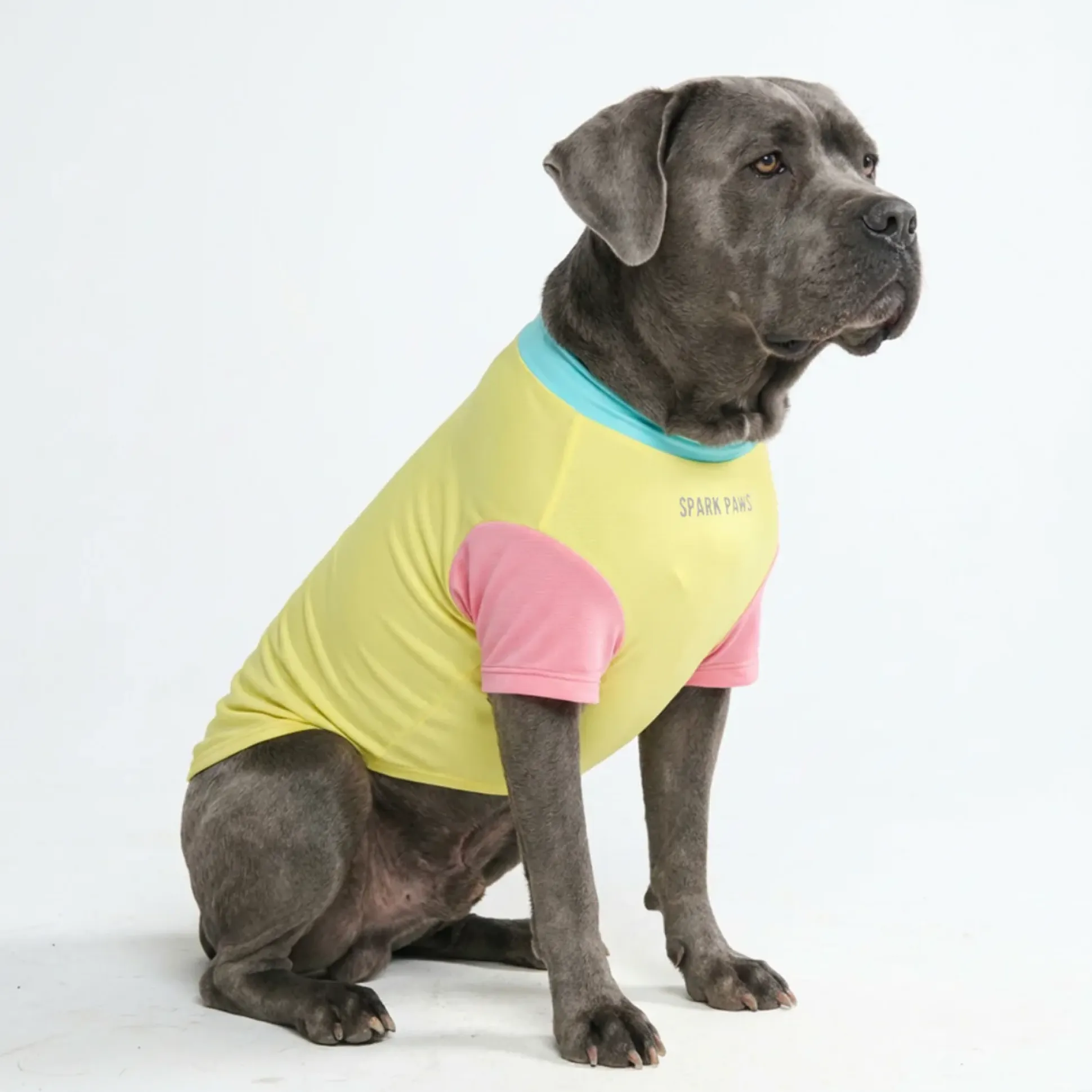 Sunblock Dog T-Shirt - Color Block