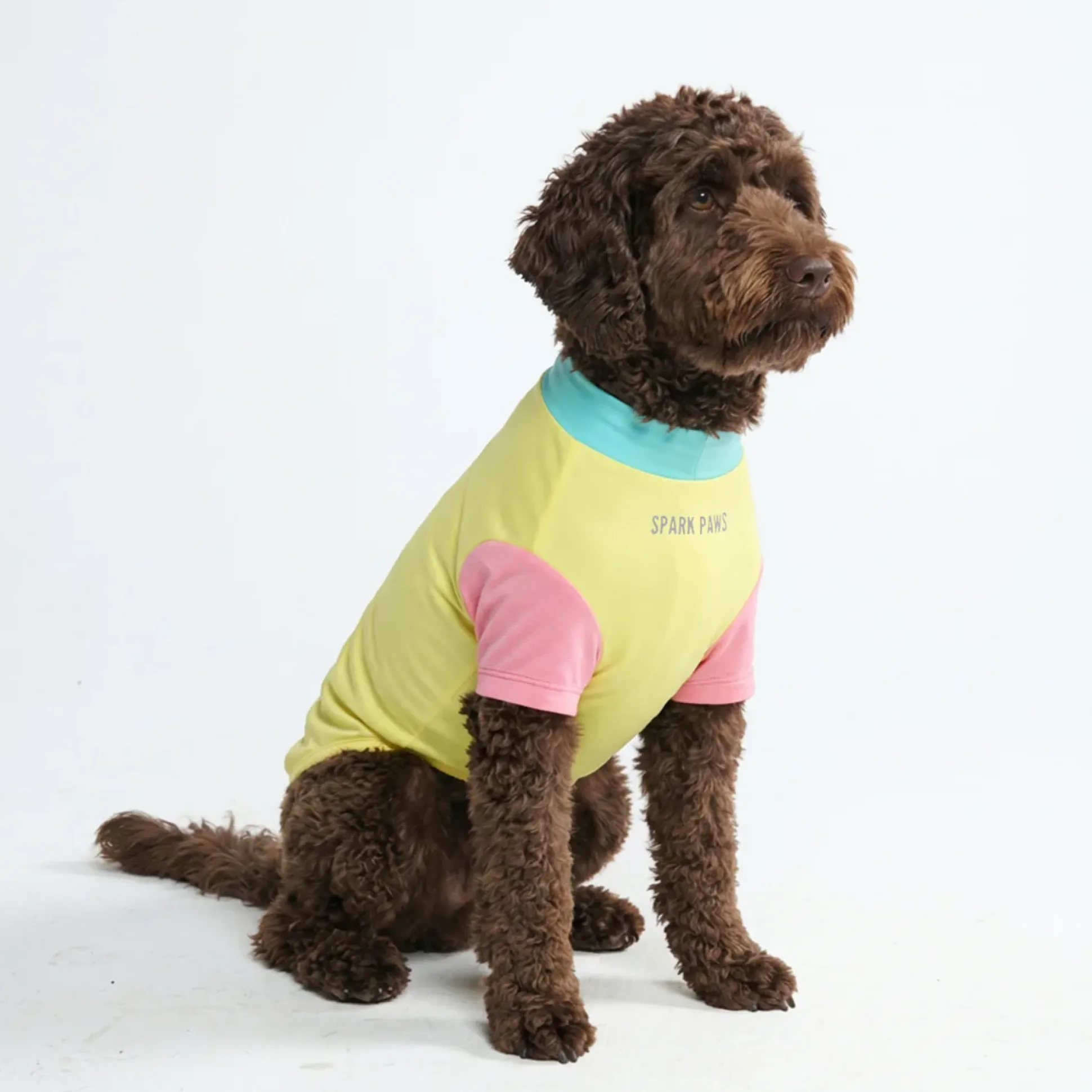 Sunblock Dog T-Shirt - Color Block