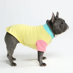 Sunblock Dog T-Shirt - Color Block
