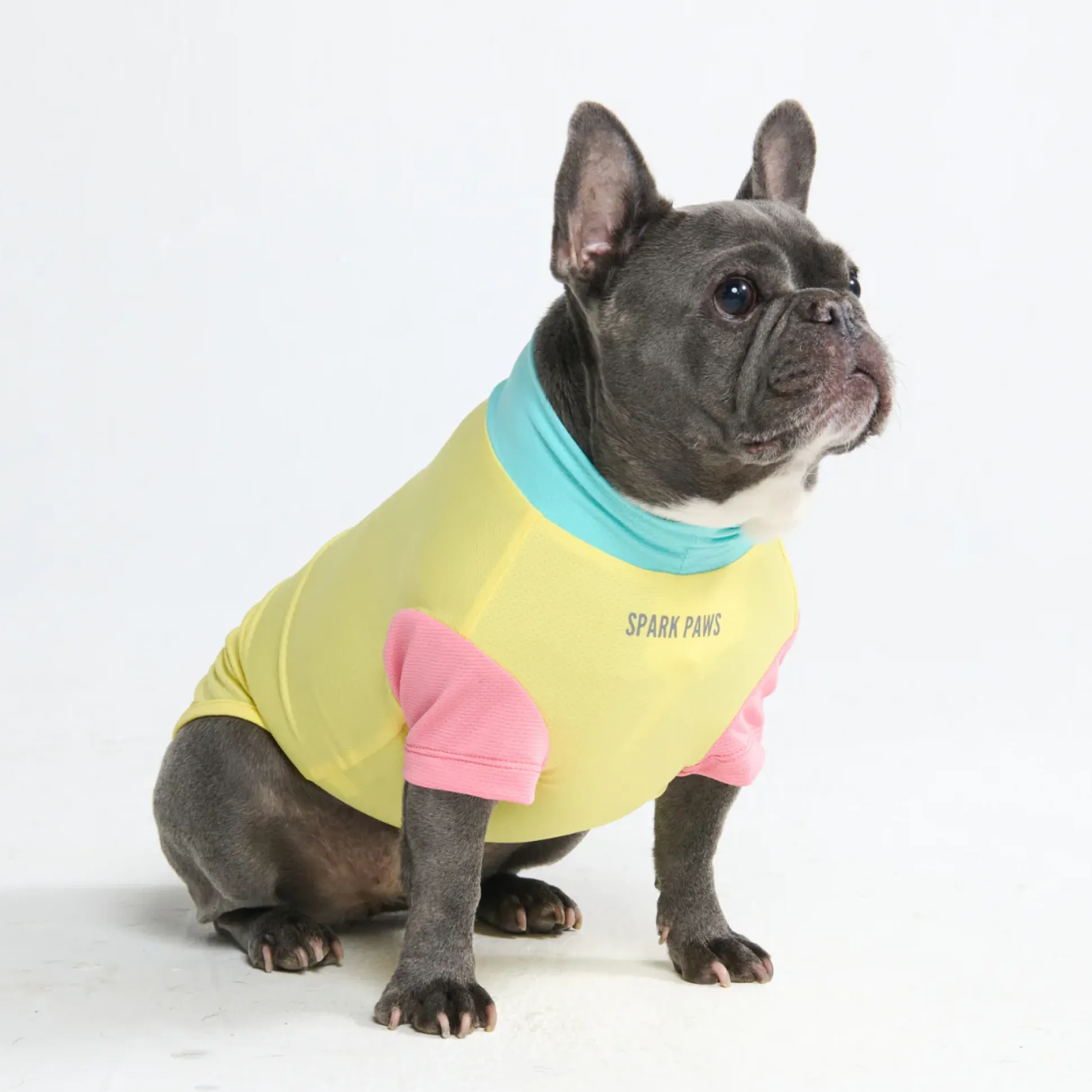Sunblock Dog T-Shirt - Color Block