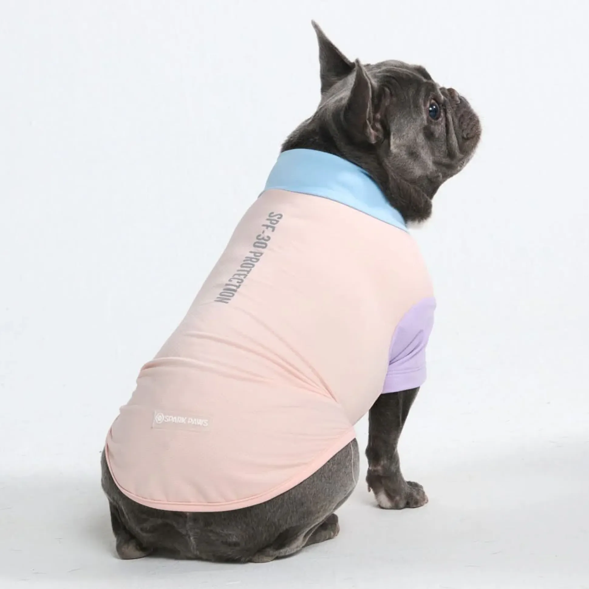 Sunblock Dog T-Shirt - Color Block