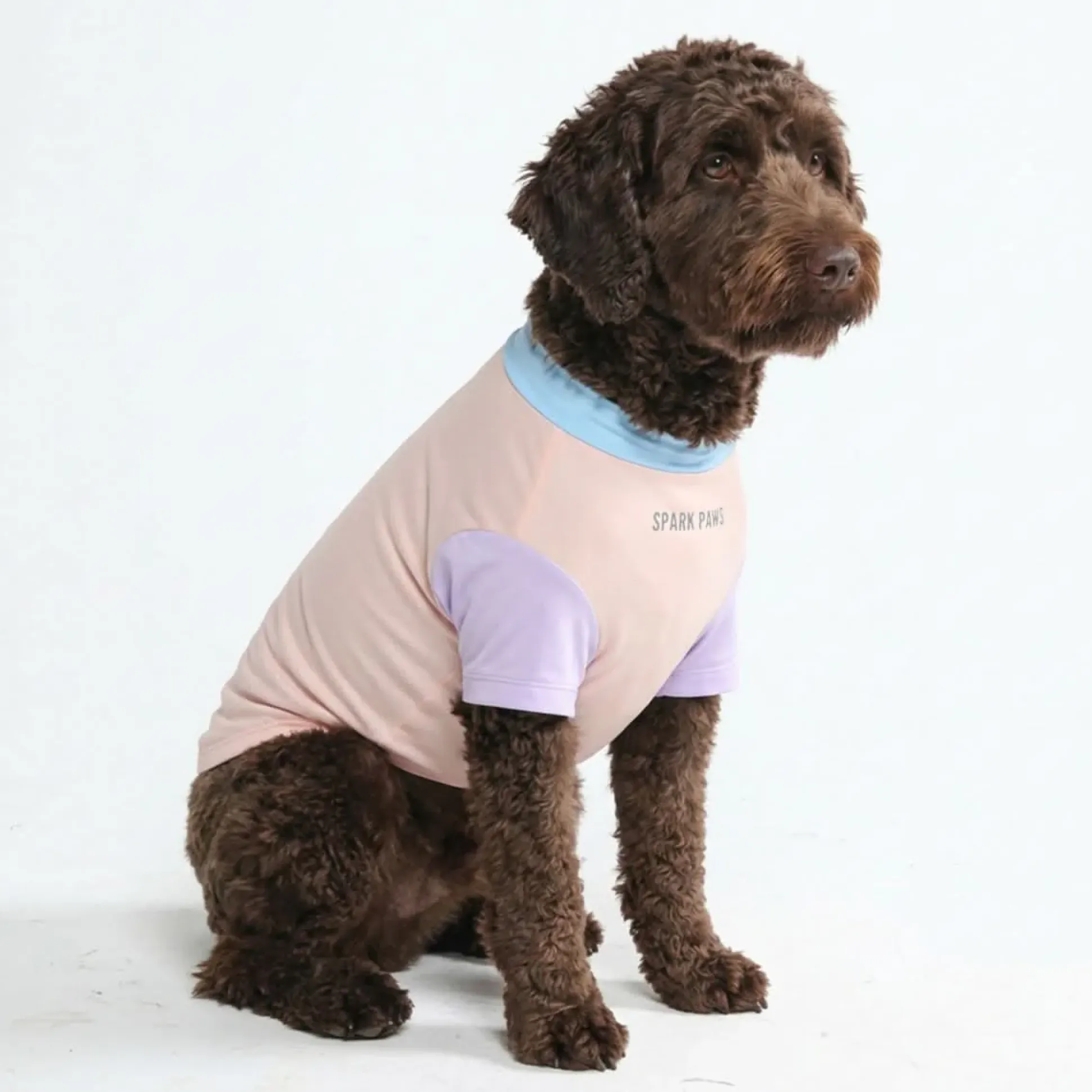 Sunblock Dog T-Shirt - Color Block