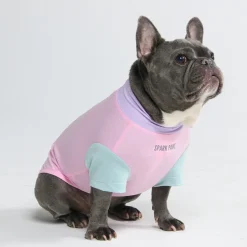 Sunblock Dog T-Shirt - Color Block