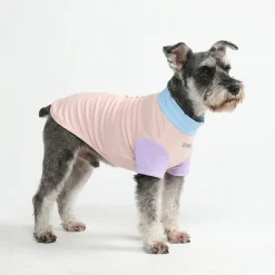Sunblock Dog T-Shirt - Color Block