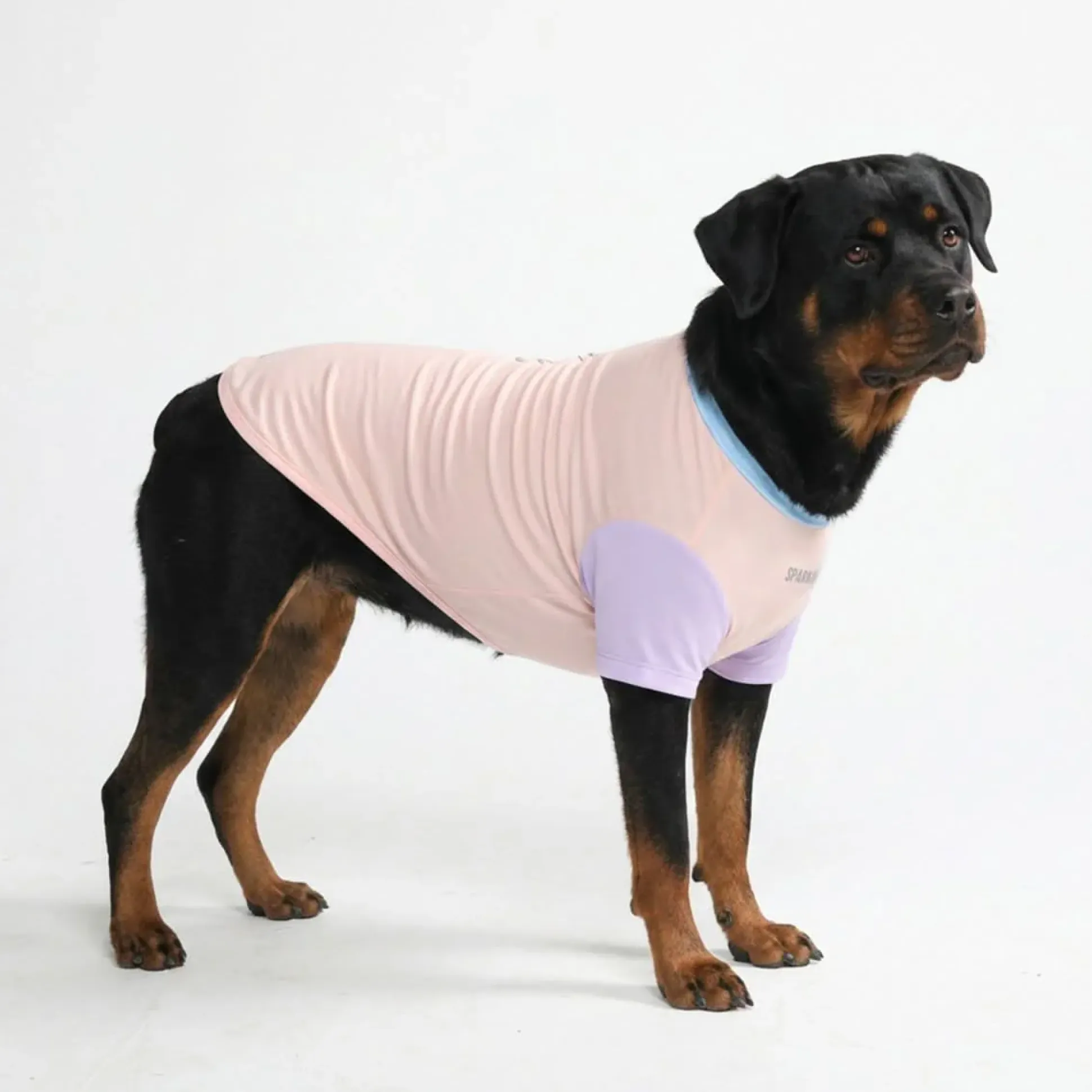 Sunblock Dog T-Shirt - Color Block