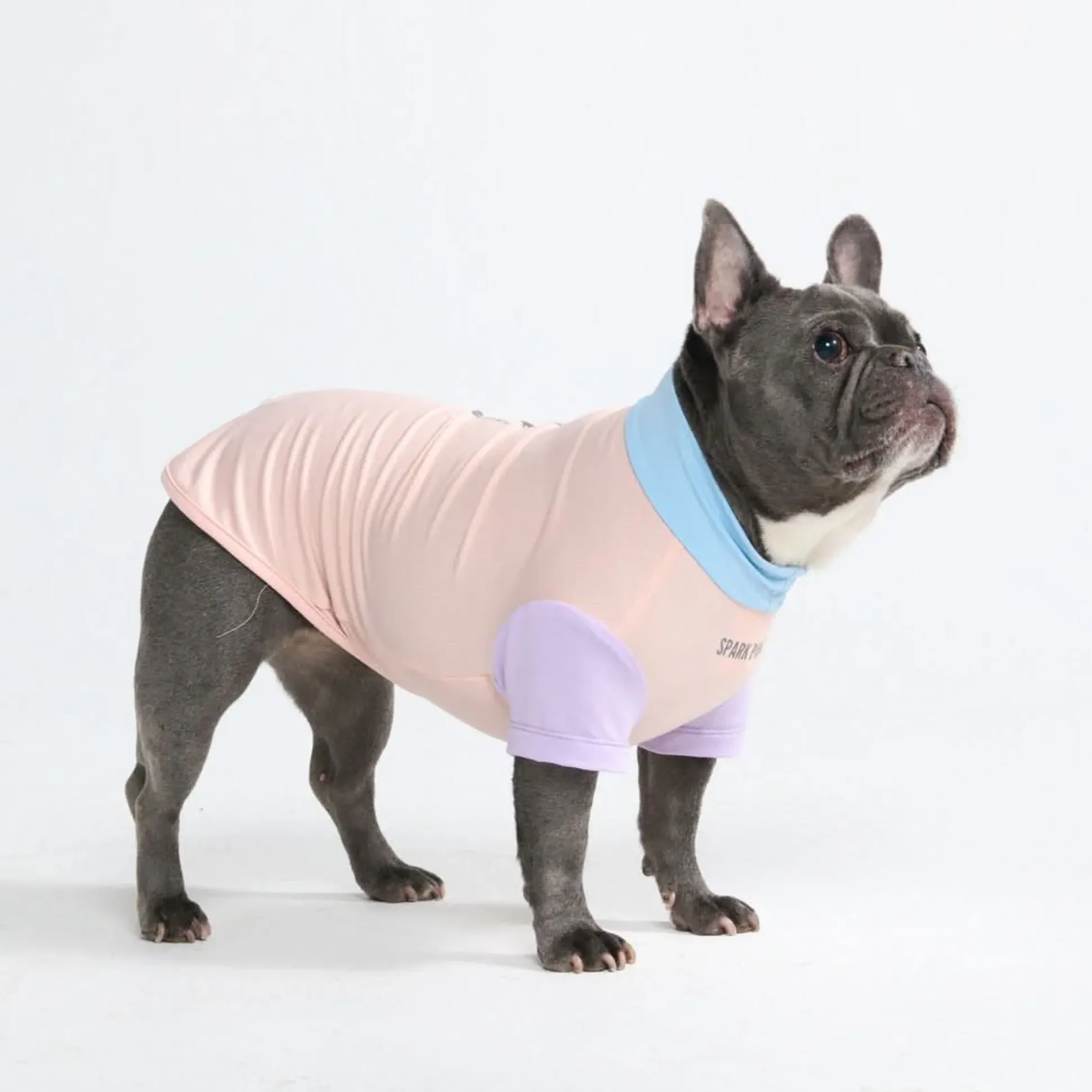 Sunblock Dog T-Shirt - Color Block