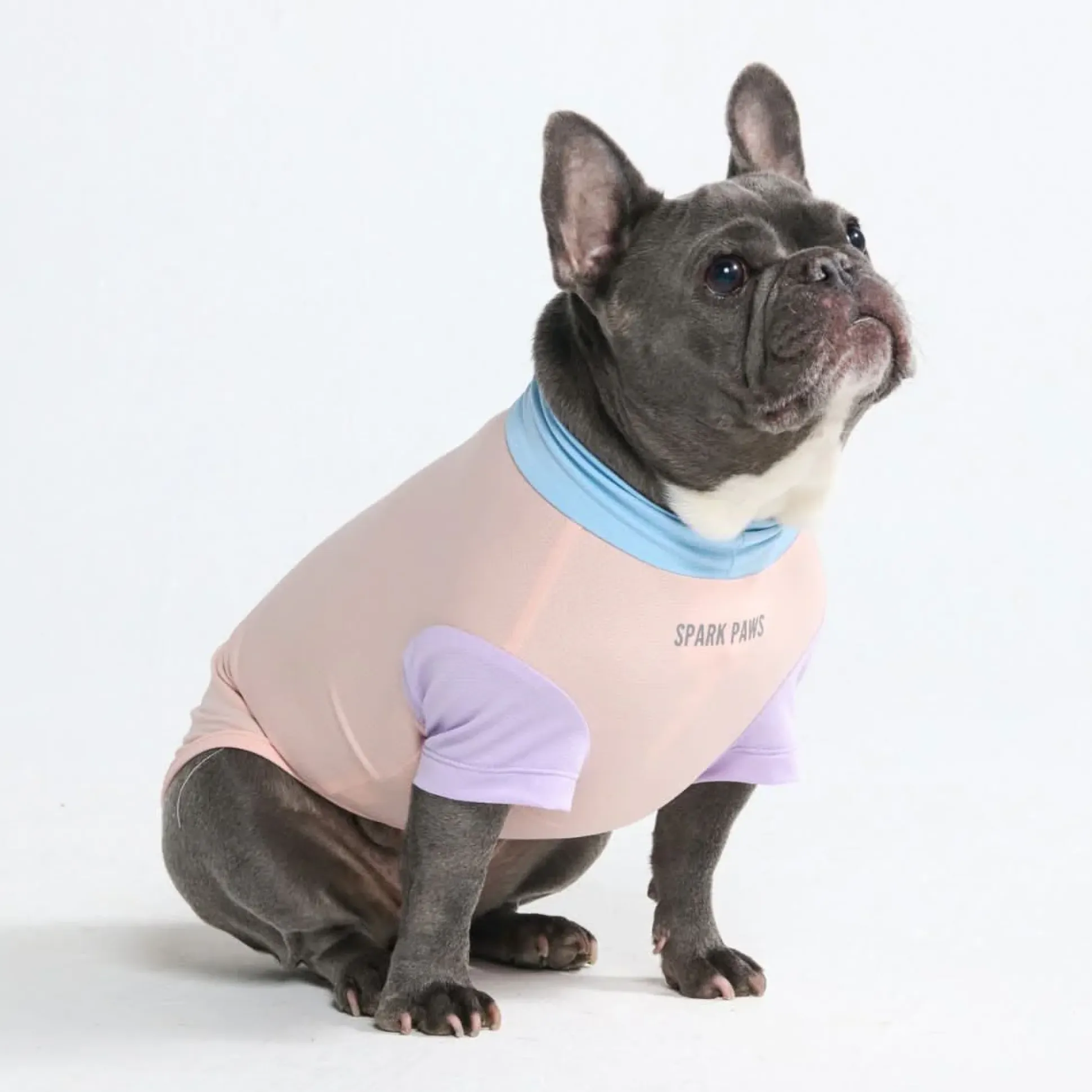 Sunblock Dog T-Shirt - Color Block